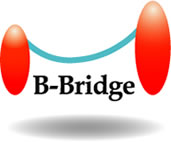 B-Bridge International